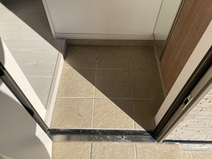 フェリスタ【玄関】