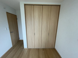 蓮田市貝塚テラスハウス【収納】北側洋室収納