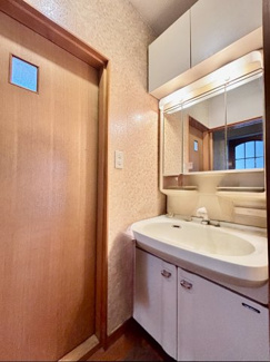 三面鏡ミラーには日常使う髭剃りや歯ブラシもすっきりと収納出来ます。
本体下の開き扉には清掃用品も収納でき、すっきりとした暮らしができます。