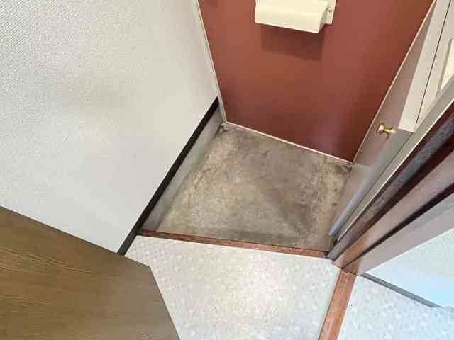 ＰＡＬＡＺＺＯ⑩【玄関】