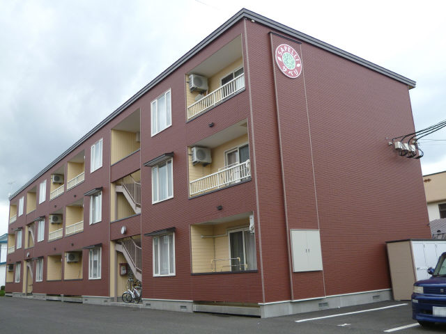 サペリ【外観】