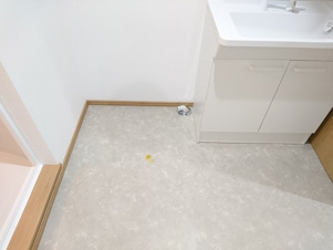 クレアトールＡ【その他】