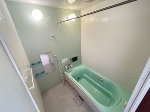 ＡＬＰＨＡⅠ【浴室】