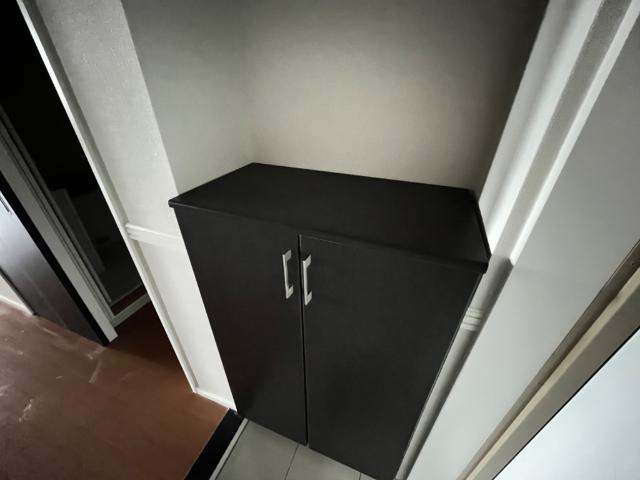 アリウス【収納】下駄箱