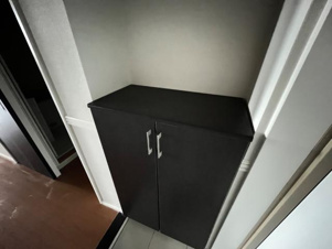 アリウス【収納】下駄箱