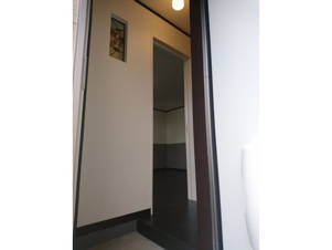 ルゼルＮ【その他】