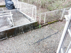 コーポ恵【庭】