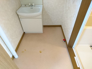 ノースヴュー１４４【その他】