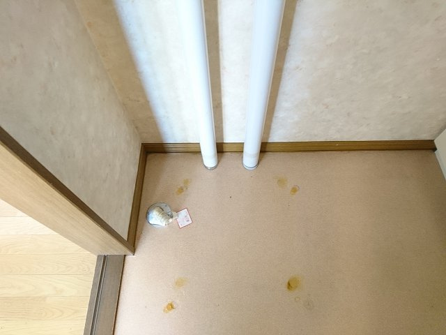 ノースヴュー１４４【その他】