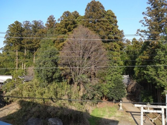 パークドオートム Ｂお部屋からの眺めです