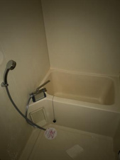 ダイヤマンションＡ・Ｂ棟【浴室】バス