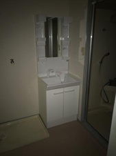 ダイヤマンションＡ・Ｂ棟【洗面所】洗面