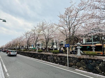 広々とした歩道が整備されており快適に通行できる環境です。周辺には店舗やオフィスビルも点在し利便性を感じられる街路です。植栽や街路樹が並び景観にも配慮されています。