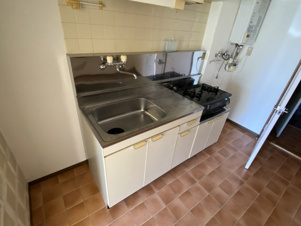 ハイグレースＡ【その他】