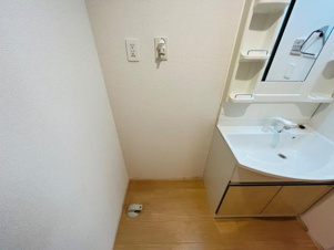 スカイスペース【その他】洗濯機置場