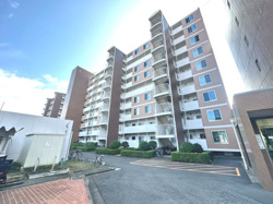 「Tiktok動画　新松戸ファミールハイツ5号棟8階」の画像