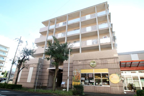 オリゾンテの画像