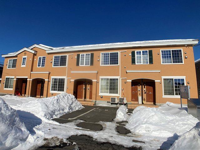 ルピナスⅢ【その他】