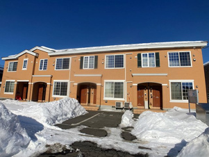 ルピナスⅢ【その他】