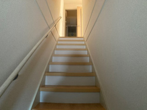 ルピナスⅢ【その他】