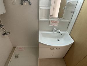 ルピナスⅢ【その他】