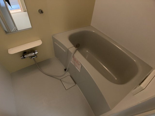 ルピナスⅢ【その他】