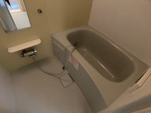 ルピナスⅢ【その他】