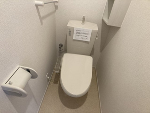 ルピナスⅢ【その他】