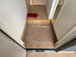 ルピナスⅡ【玄関】