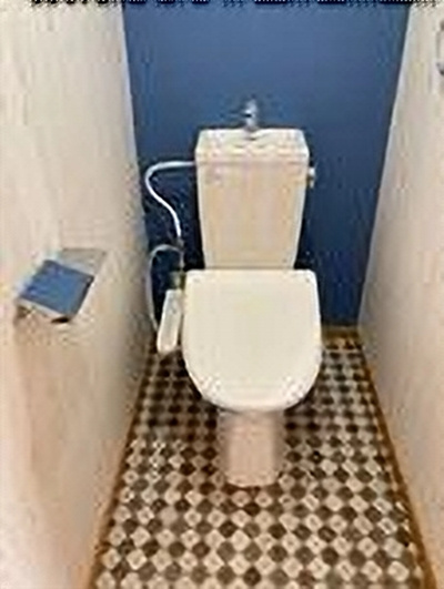 フォーテューナ【トイレ】