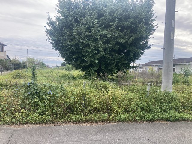 江南市後飛保町高瀬【外観】