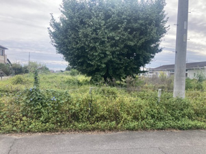 江南市後飛保町高瀬【外観】