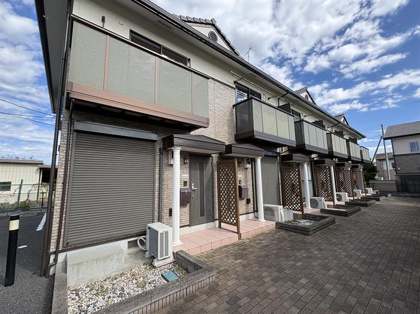 エクセドミールの画像