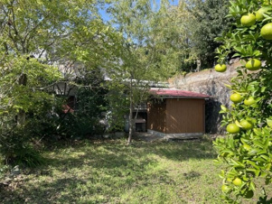 足柄下郡湯河原町宮下の売地【前面道路含む現地写真】敷地内