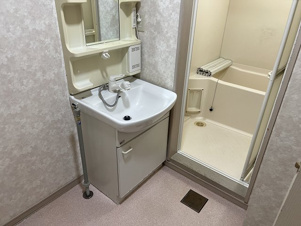 ハイツフィオーレ【洗面所】