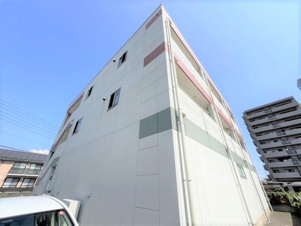 エーデルワイス【外観】外観写真（昼）