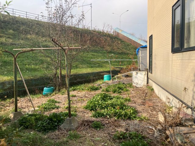 豊頃町豊頃旭町【庭つき】