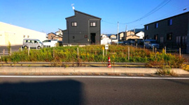 渡波字黄金浜48-7の画像