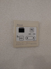 VERDE GISHOU【その他】