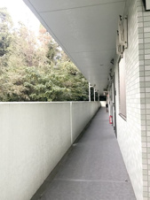 VERDE GISHOU【共有部分】外通路