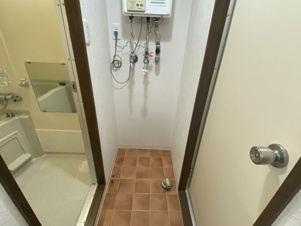 エクセルバード【その他】