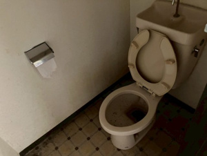 アルス極楽B棟【トイレ】