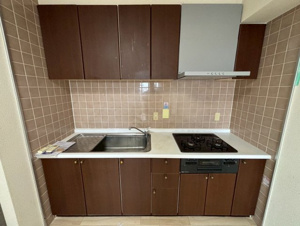 エスポア江南Ⅱ【キッチン】ワイドタイプのシステムキッチン