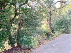 ☆新着物件☆糟屋郡須惠町大字須惠　土地の画像