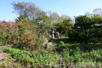 【商談中】白糠郡白糠町庶路2丁目3-3.4売家【庭】