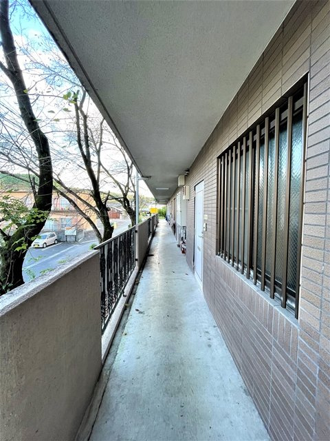 エレガンス生田【共有部分】外通路