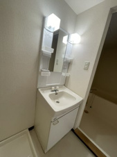 エレガンス生田【独立洗面台】