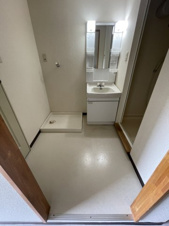 エレガンス生田【洗面所】