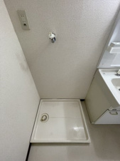 エレガンス生田【洗面所】