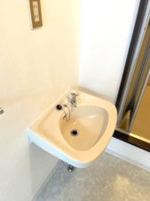 タウニーストリート中棟【独立洗面台】